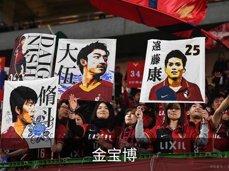 关于金宝博